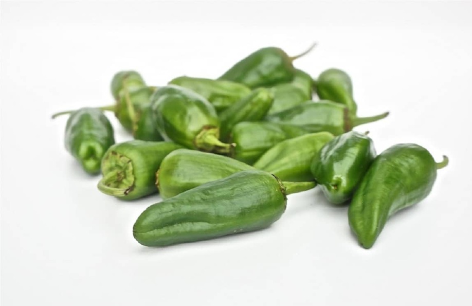 Padron Biber Tohumu